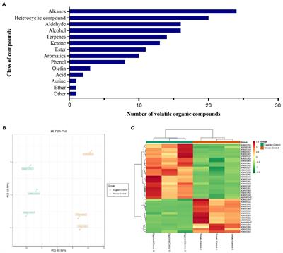 Development of attractants and repellents for Tuta absoluta based on plant volatiles from tomato and eggplant